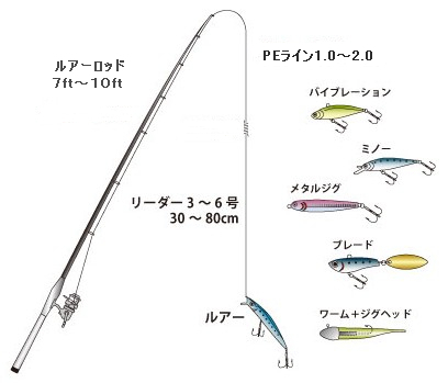 防波堤からのマゴチ釣り 防波堤からの釣りパーフェクト マスター講座